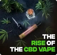 The Rise of CBD Vaping: Benefits and Considerations