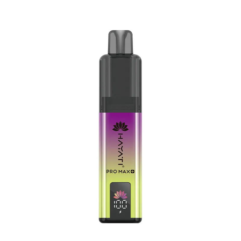 Berryl Hayati Pro Max+ 6000 Puffs Disposable Vape