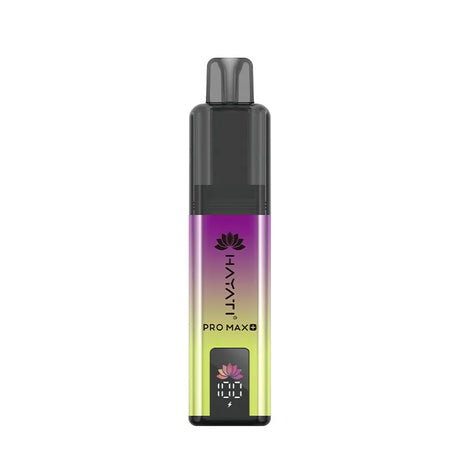 Berryl Hayati Pro Max+ 6000 Puffs Disposable Vape